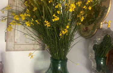 La Locanda Del Tevere - Foto 14