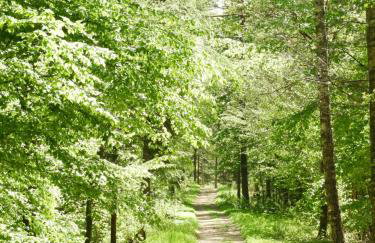 APARTAMENT WILKASY II (k. Giżycka ) - Foto 35