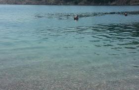 Traditional Stone House Bura - Nature Park Velebit - Photo 80