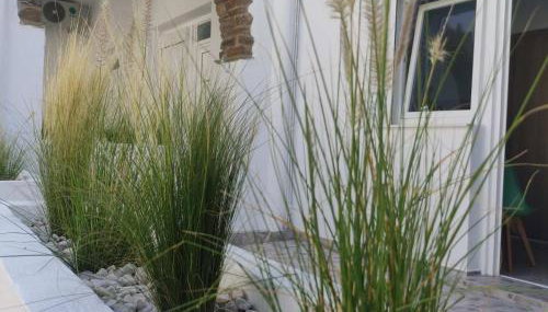 Tinos Summer Vibes Studios 1 - Foto 5, Garden view