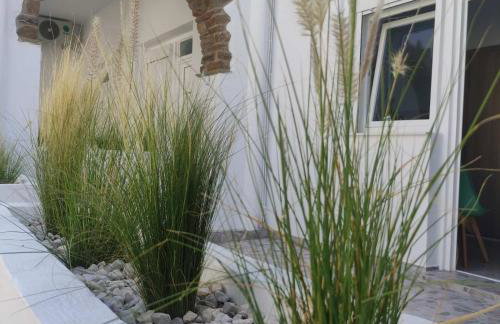 Tinos Summer Vibes Studios 1 - Foto 5