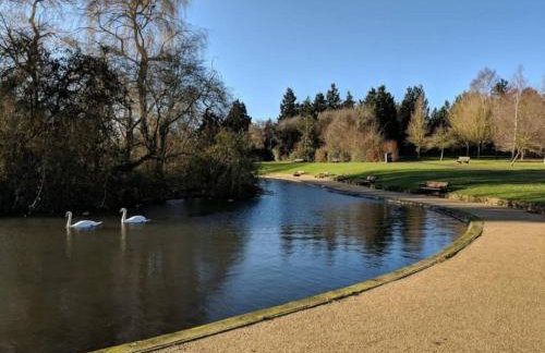 Horizon House, Luxury 2-Bedroom Ground floor flat, Parking, WiFi, Netflix - Foto 24