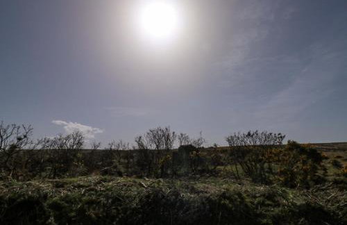 Swallows Nest - Photo 26