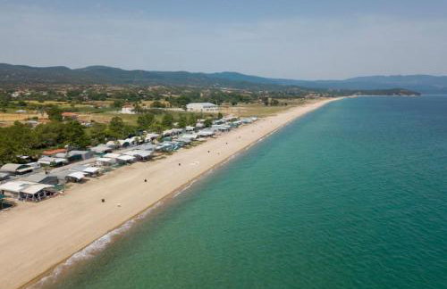 ΚΟΧΥΛΙ - Foto 22