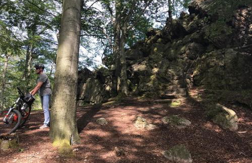 Am Wäldchen - Foto 27