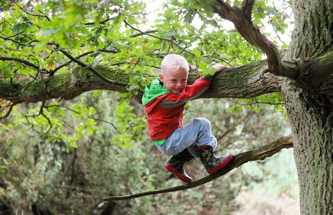 Premium Lodge Near Recreation Lake - Foto 20