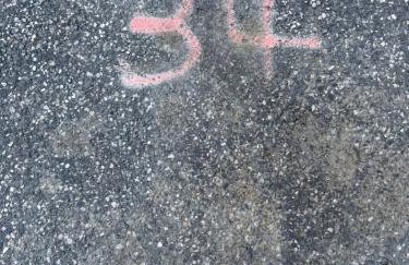 Magnifique studio en bord de mer vue montagne - Foto 18