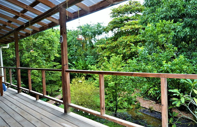 Treetop 'jungle Like' Escape in San Ignacio Your Belize Oasis Awaits! - Foto 6