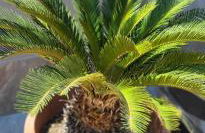 La Casetta di Camelia - Foto 57