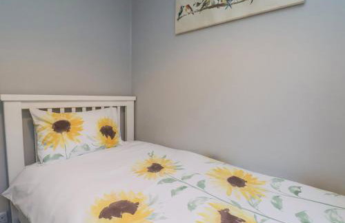 Dabbling Ducks - Foto 24