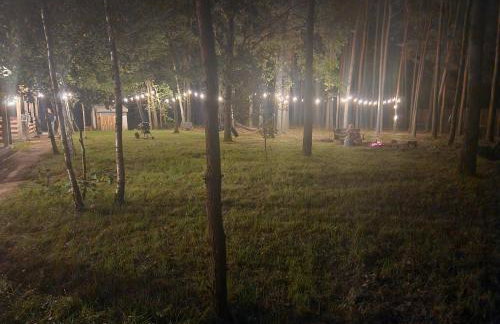 Leśna Osada Wieliszew - Foto 14