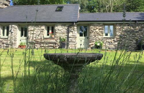 Glanrhyd cottage - Foto 5