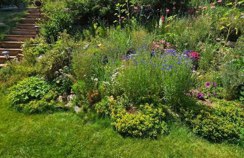 Near Red Rocks, Hiking and Skiing Kittredge Condo! - Foto 24