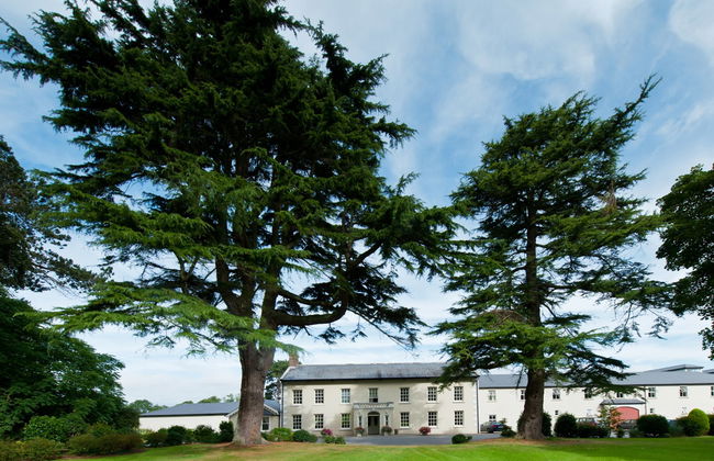 Heyward Mews - Foto 11