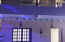 Flor de cacto - Foto 1