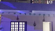 Flor de cacto - Foto 1