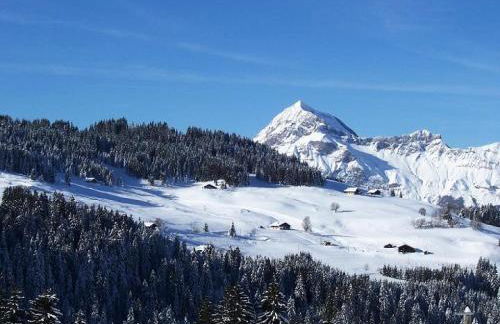 Résidence L'ancolie - Studio au pied des pistes - 1450 m MAE-2764 - Foto 2