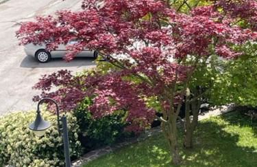 La casa in collina - Foto 46