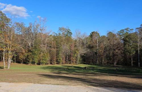 Studio 431-Vet owned 14 miles to Ft Moore - Foto 10