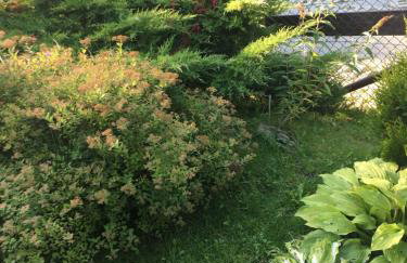 Słoneczny domek - Foto 7