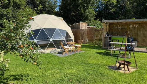 The Little Retreat, Pembrokeshire - Foto 4, Garden, Garden view
