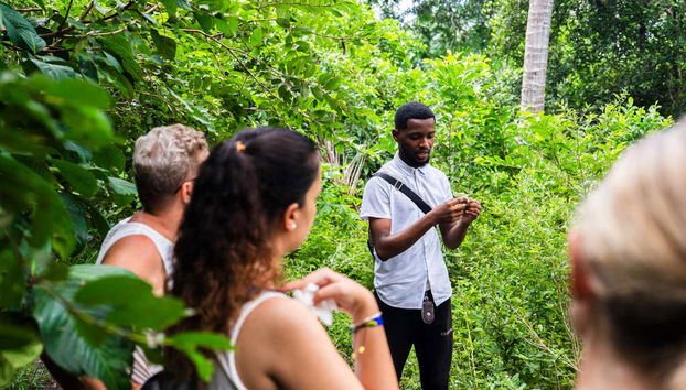 Aprenderemos sobre a floresta de Jozani