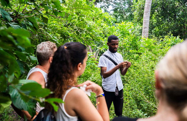 Escursione alla foresta di Jozani - Foto 4