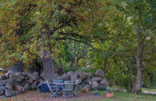 Fewo Inselblick - am Schweriner See - Foto 24