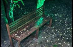 Lugar Aconchecante - Foto 21