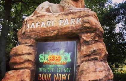 THE SPRINGFIELD SUITE - ONE BEDROOM APARTMENT - KIDDERMINSTER CENTRAL - SLEEPS 3 GUESTS - PARKING INCLUDED - WEST MIDLANDS SAFARI PARK LOCATIOn - Foto 25