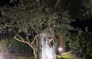 La Dimora degli ulivi - Foto 55