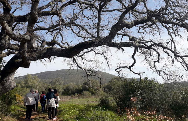 Senderismo por el Parque Natural de Arrábida - Foto 2