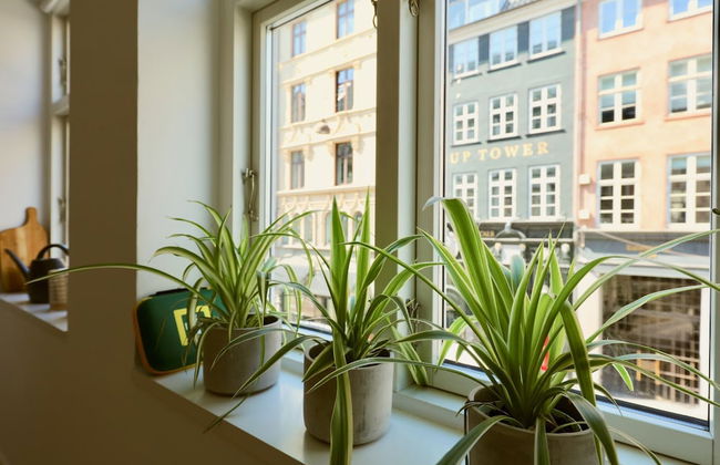 Dinesen Collection Two-Story Condos by Nyhavn Harbour - Foto 38