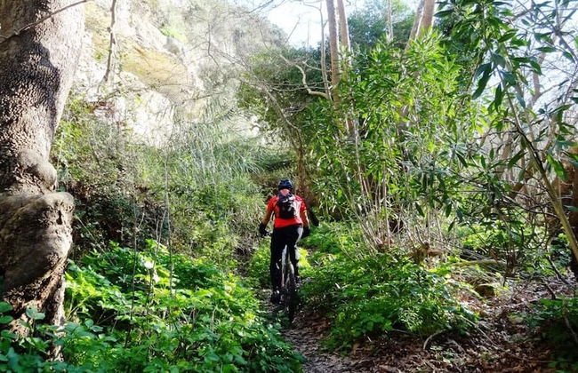 Cretan Magnolia Gem - Smari Cozy Getaway - Foto 26