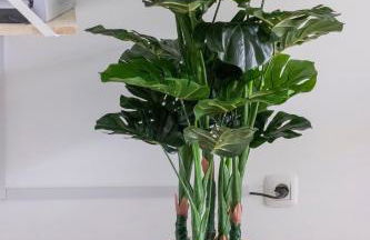 Atlantic Garden Beach & Surf 165 - Photo 14