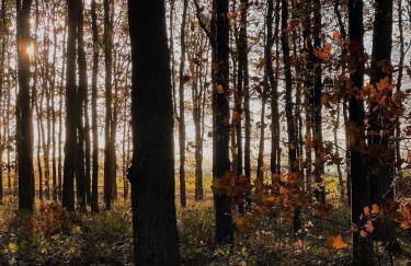 Sonnengelb - Fulgenhaus - Foto 19