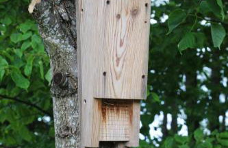 Cichosza - The Sound Of Silence - Foto 33