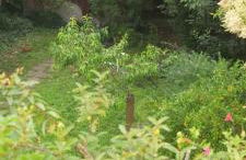 Particulier - Foto 8