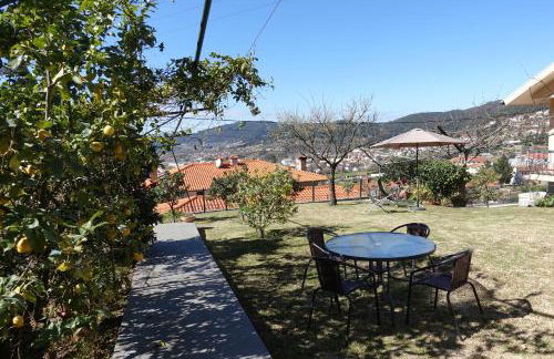 Montinho 313 - Foto 6