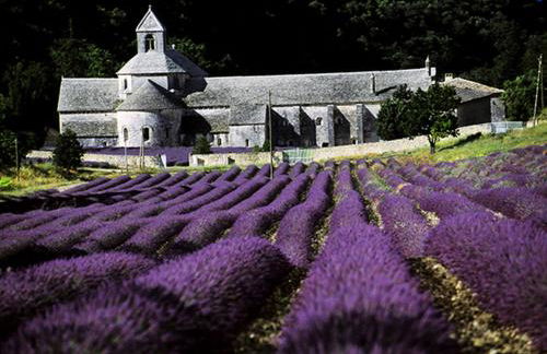 Gordes Le Bastidon - Photo 32