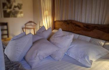 Agriturismo La Pina - Foto 5