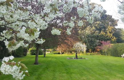 Hockwold Hall - Former Royal residence - Foto 15