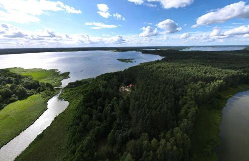 Strużka Kaszuby - Leśniczówka w sercu Borów Tucholskich - Foto 6