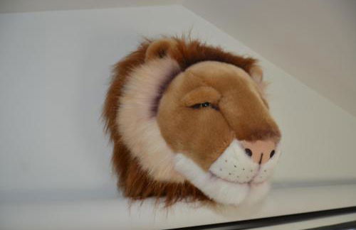 La Griotte - Studio tout confort - Lyon - Tassin - Foto 16