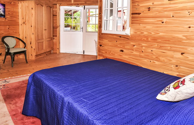 Bellavista - Foto 17