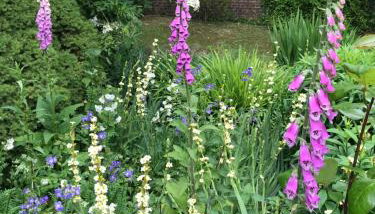 The Potting Shed - Foto 5