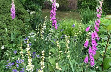 The Potting Shed - Foto 5