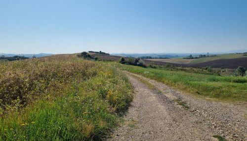 Gli Ulivi di Siena 2 - Foto 2
