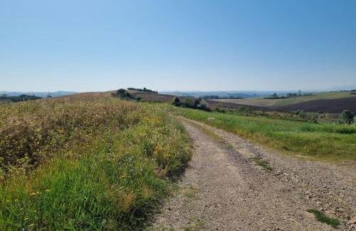 Gli Ulivi di Siena 2 - Foto 2