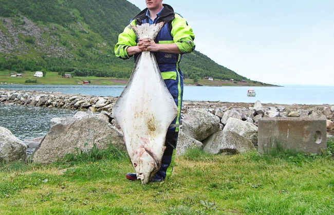 10 Person Holiday Home in Kaldfarnes-by Traum - Foto 18